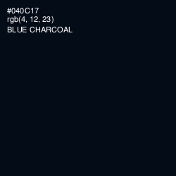 #040C17 - Blue Charcoal Color Image